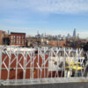 plastic-spikes_parapet_full