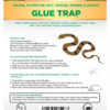trap-master-glue-trap-front-1
