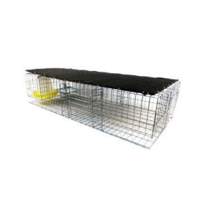Pigeon Cage Traps