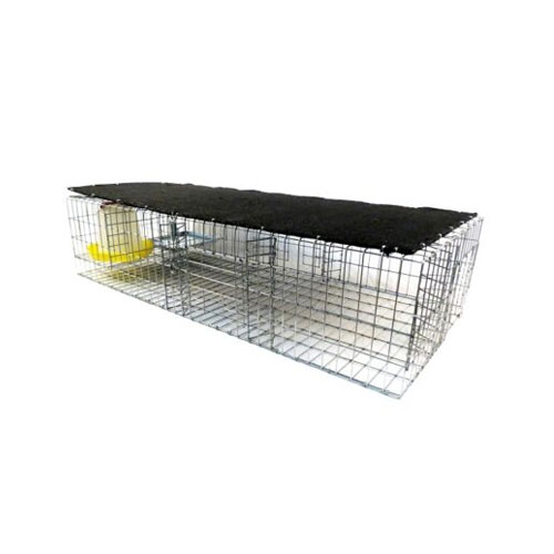 Pigeon Cage Traps