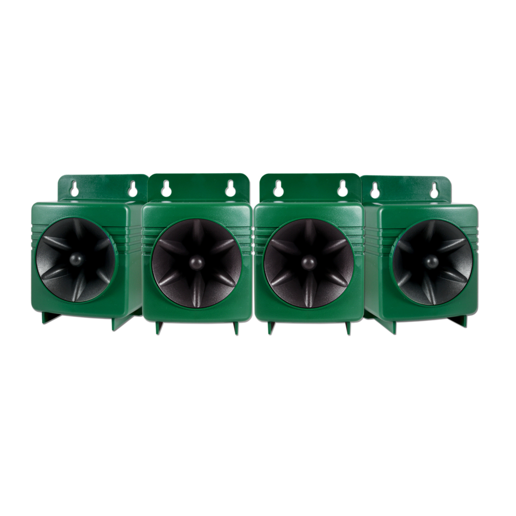 BroadBand Pro - Image 3