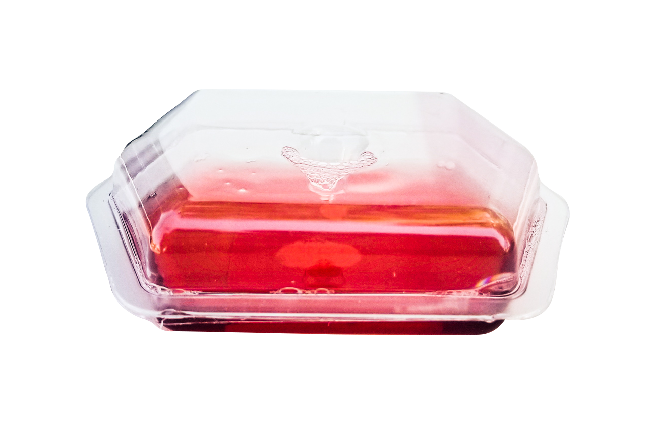 Commercial Fruit Fly Trap