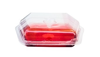 Commercial Fruit Fly Trap
