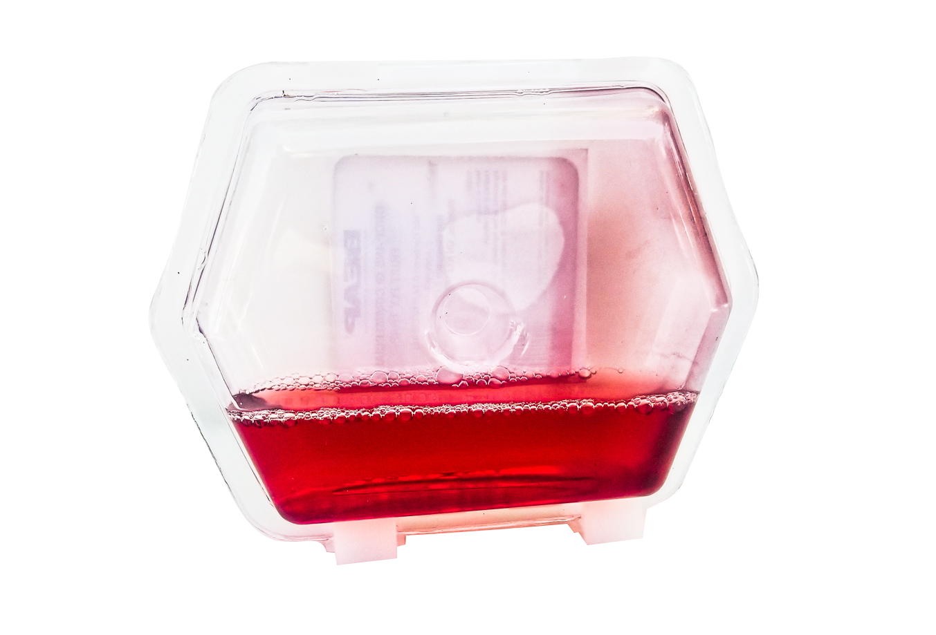 Commercial Fruit Fly Trap - Image 2