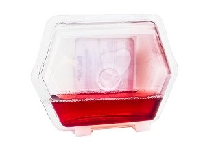 Commercial Fruit Fly Trap - Image 2