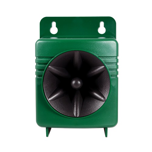 Extension Speaker