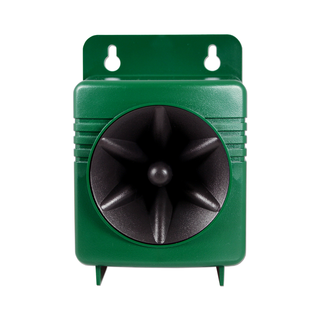 Extension Speaker