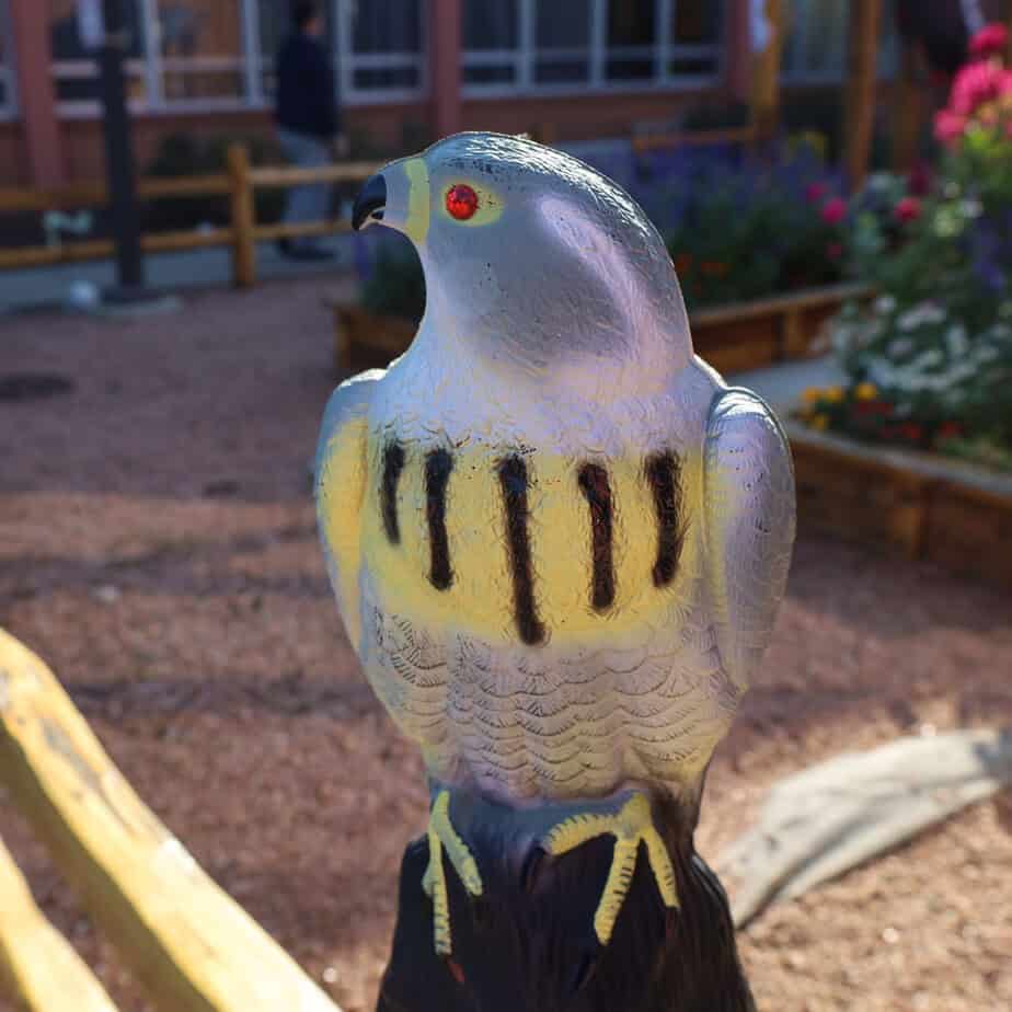 Falcon Decoy - Image 3