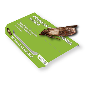 Insective Food Moth Trap