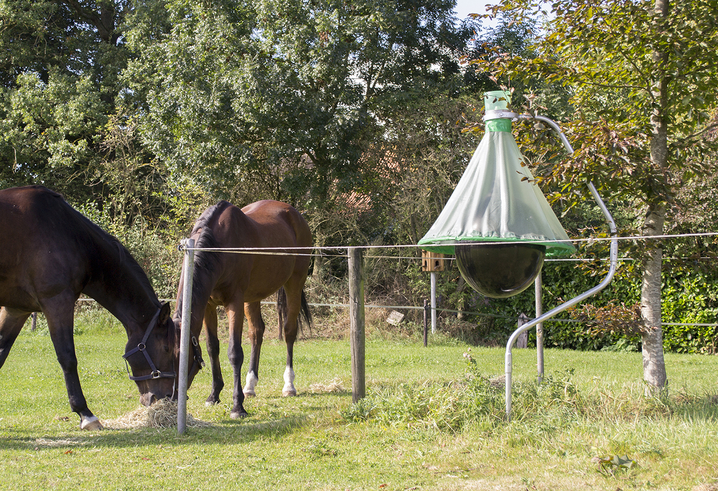 Insective H Trap - horsefly control system - Image 2