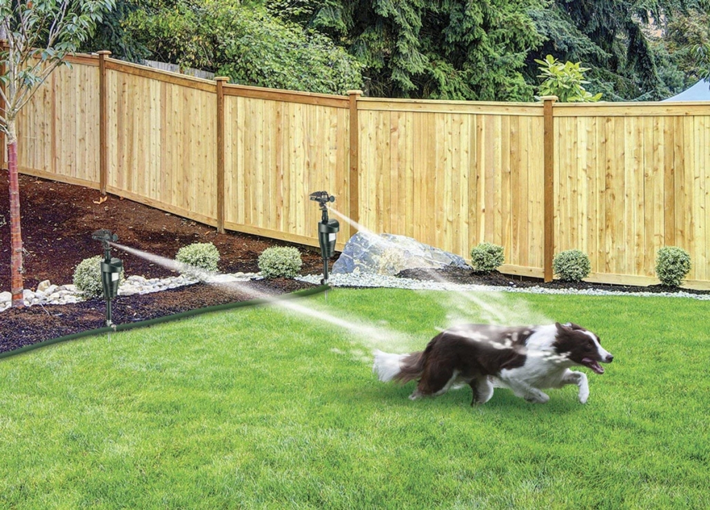 Hydro Critter Blaster - Image 3