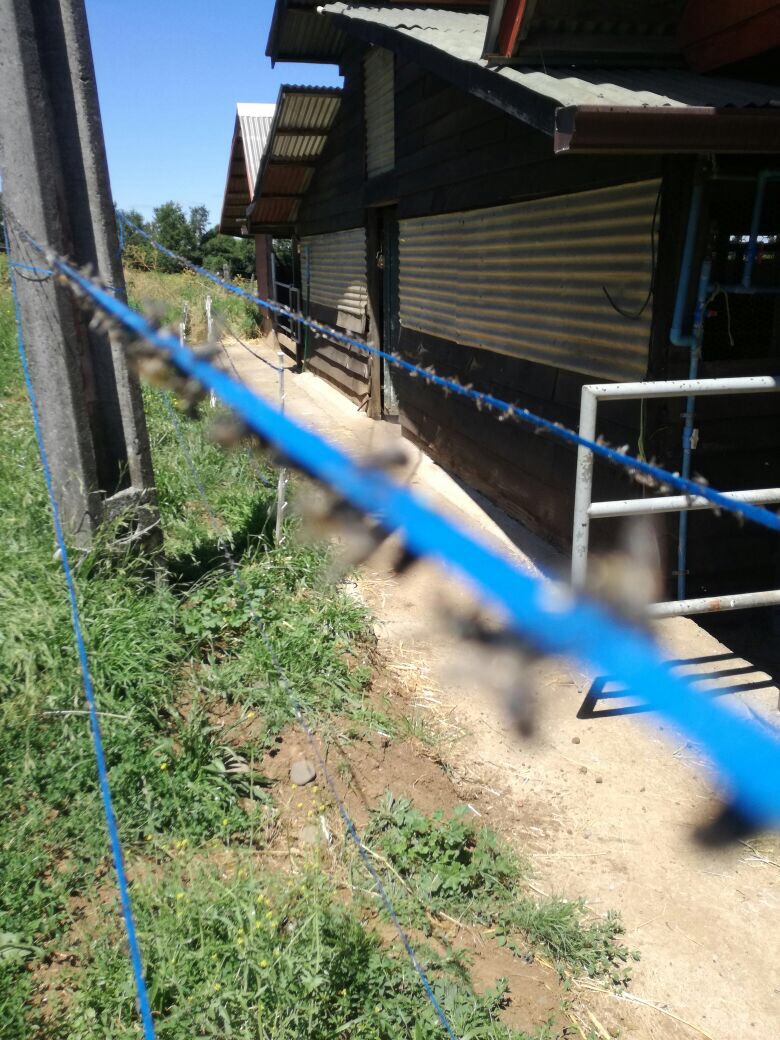 Insective FlyRibbon 400 - Image 6