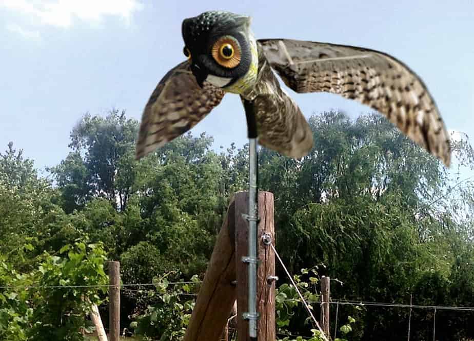 Prowler Owl® - Image 3