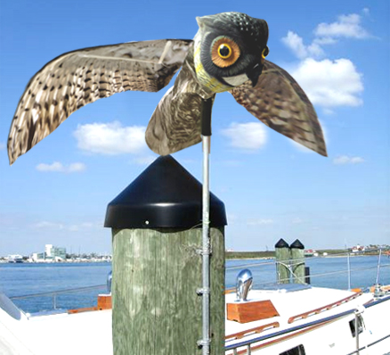 Prowler Owl - Image 2