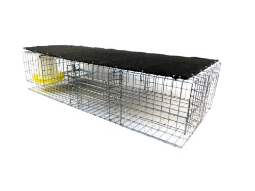 Pigeon Cages