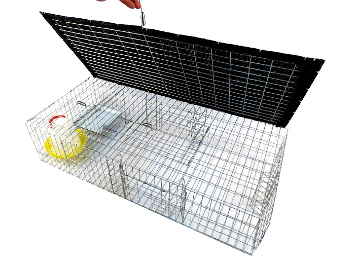 Pigeon Cage Traps - Image 2