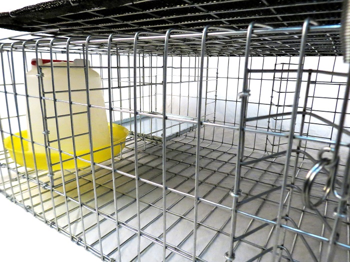 Pigeon Cage Traps - Image 3