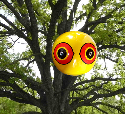 Scare-Eye Balloons - Image 2