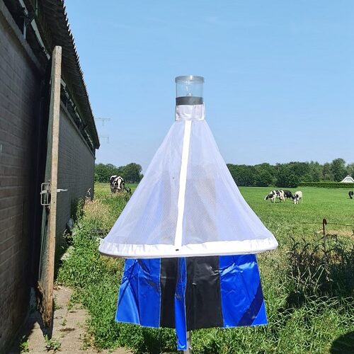 Stomoxyscc Trap - Stable Flies