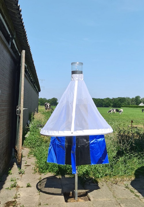 Stomoxyscc Trap - Stable Flies