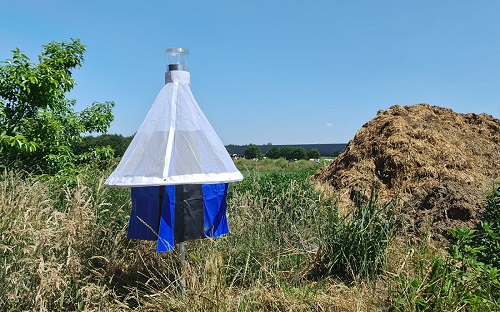 Stomoxyscc Trap - Stable Flies - Image 5