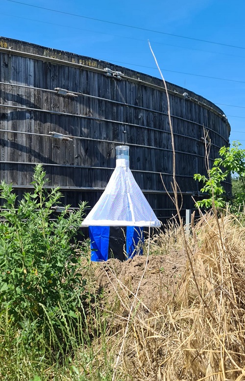 Stomoxyscc Trap - Stable Flies - Image 6