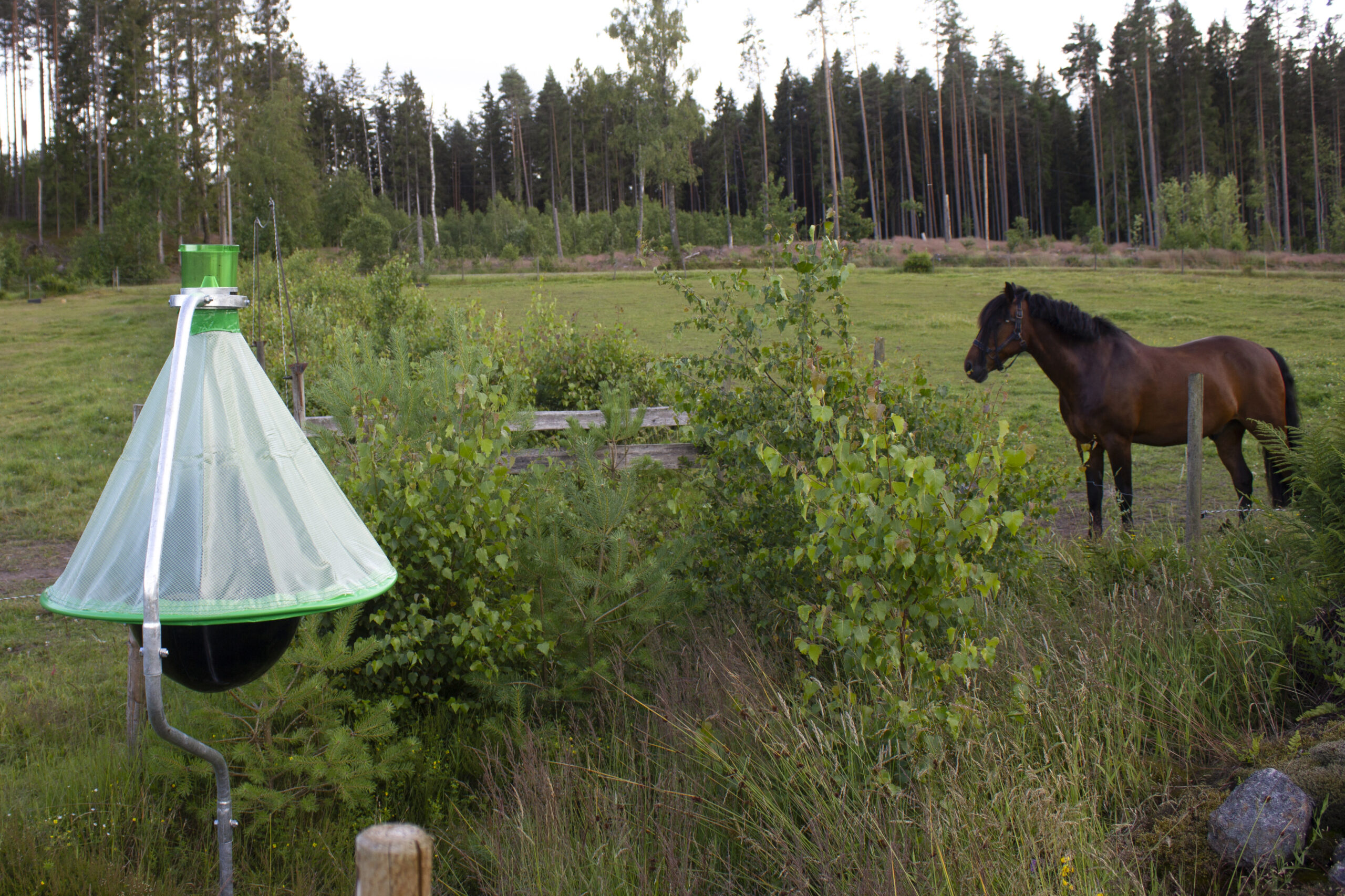 Insective H Trap - horsefly control system - Image 3