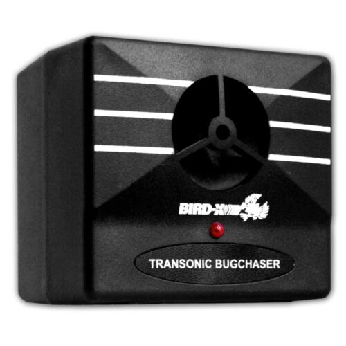 Transonic Bugchaser