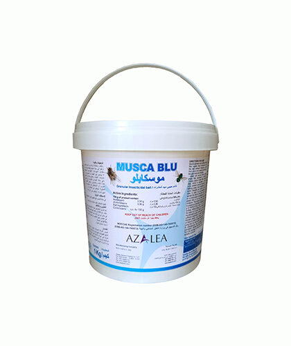 Musca Blu GR