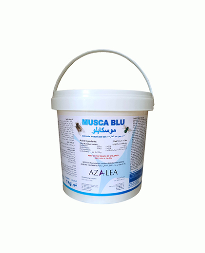 Musca Blu GR