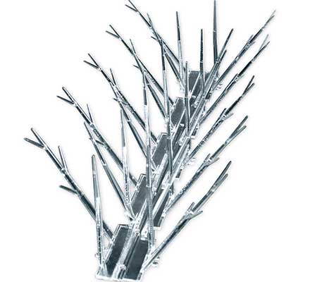 Plastic Bird Spikes