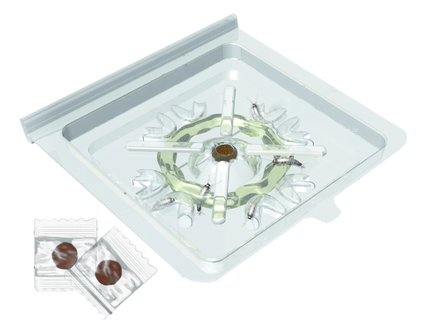 Insective S-Trap Silverfish - Image 2