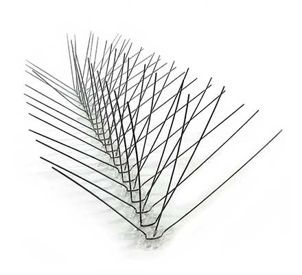 Stainless Steel Spikes
