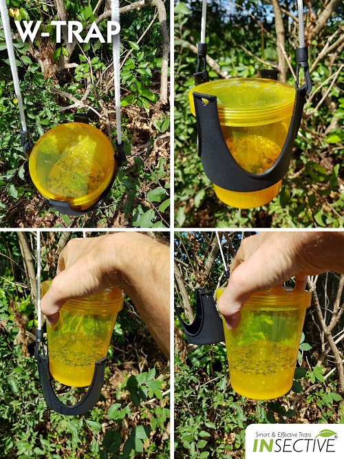 Insective W Trap - Image 6