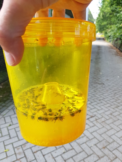 Insective W Trap - Image 7