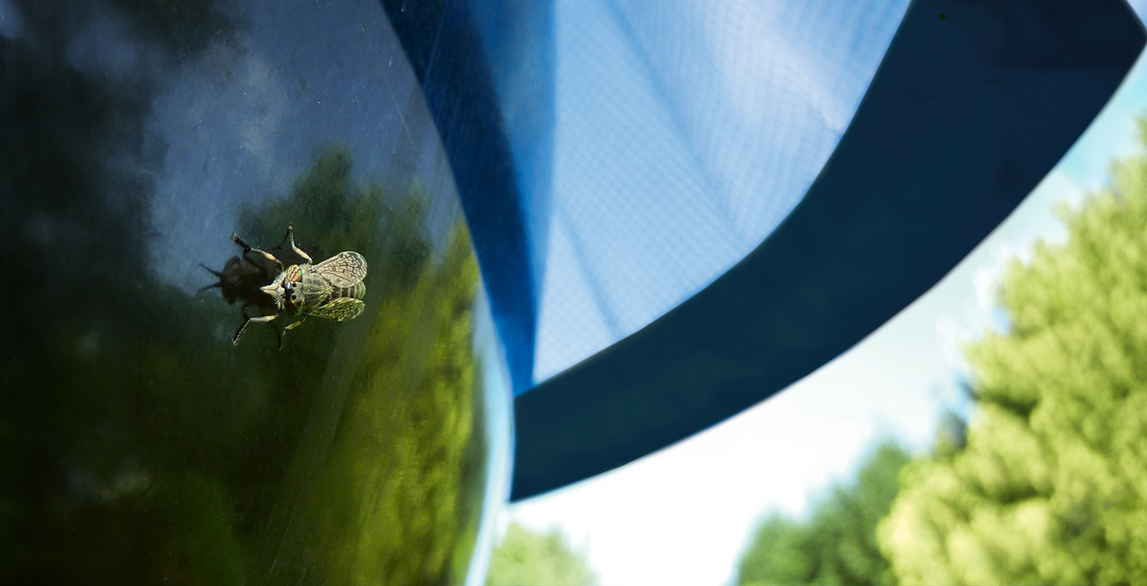 H-Trap Horsefly Control System - Image 3