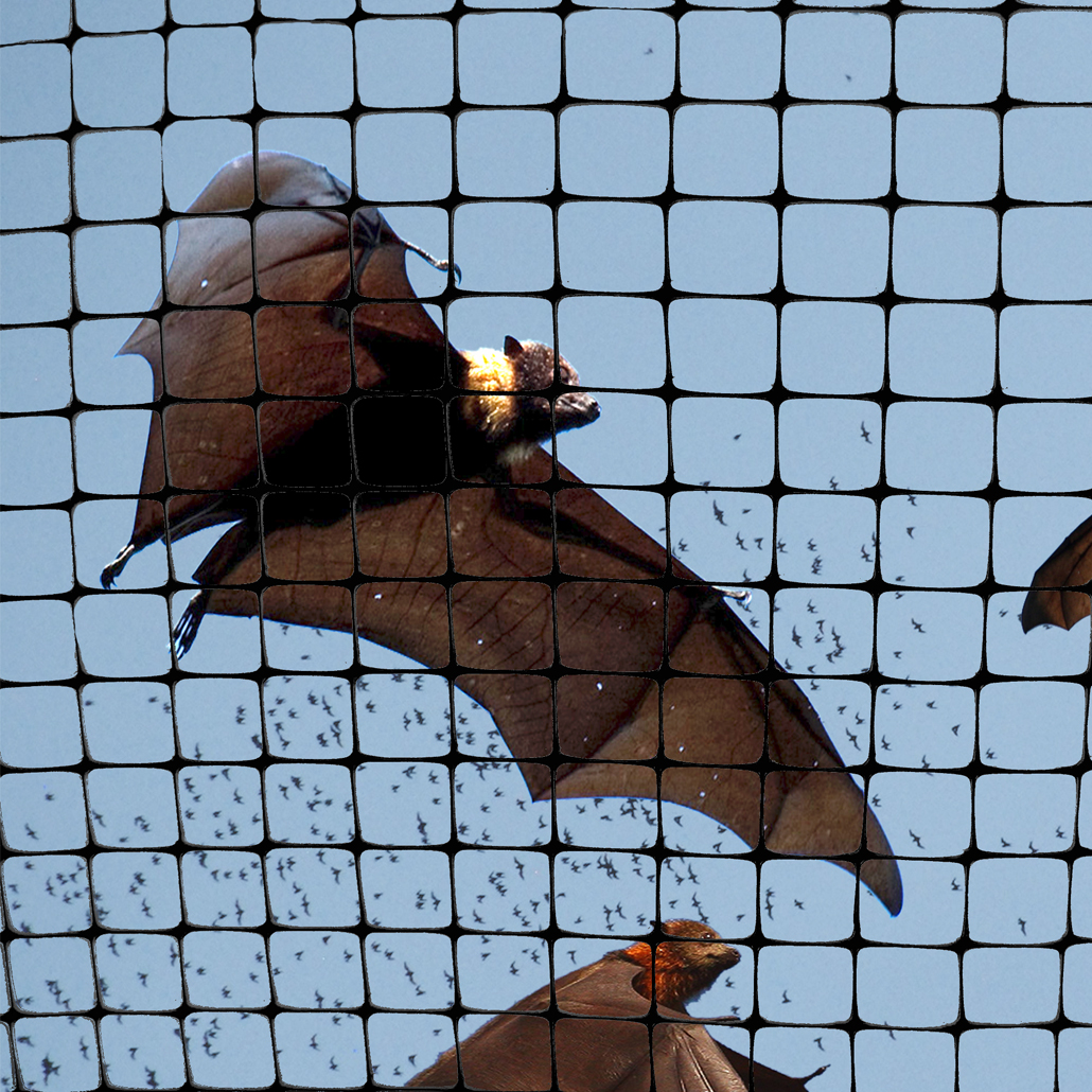 Structural Heavy Duty Bird Net - Image 3
