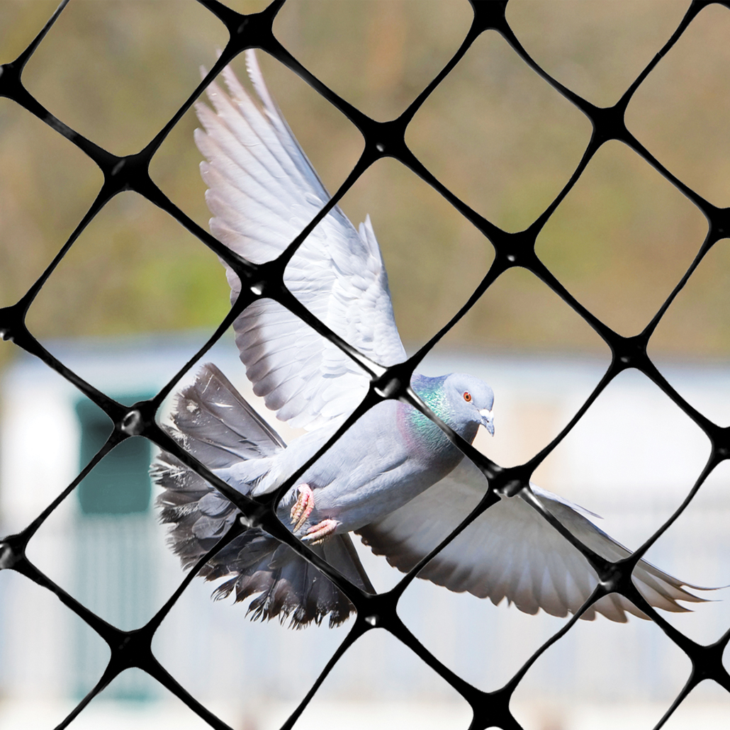 Structural Heavy Duty Bird Net - Image 2