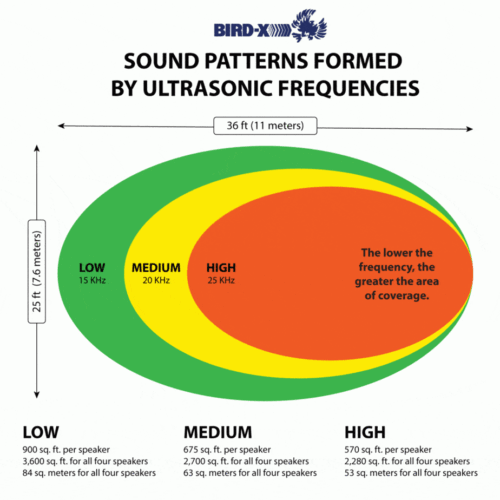 Ultrason X - Image 4